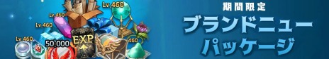 ꡼ No.017Υͥ / Tree of Savior Japanפ˿쥤ɡȥåǥ쥤ɡԤεɤԥɤ俷ƥġ̤Τɤʤɤɲ