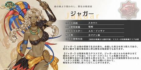 ꡼ No.002Υͥ / Tree of Savior Japanס饹ȥ㥬ɤʤɤɲä緿åץǡȤ̵žڡ⥹