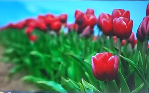 IDF 2012Ĵֱ顧ˤPCΥǥ 