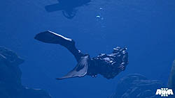 ꡼ No.011Υͥ / E3 2011ɬץڥåCore i5ʾ׶ҤκǿѤ̥ARMA 3פޤǤ⤬Ȥʤ륪ץɷС륦