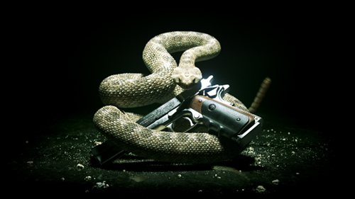 ꡼ No.002Υͥ / HITMAN ABSOLUTIONPlayStation 3Xbox 360ǥ˥å2012ǯȯꡣȤǤϥƥȥ쥤顼
