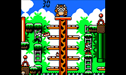 画像集#004のサムネイル/3DS版「スマブラ」と「ポケットモンスター オメガルビー・アルファサファイア」(のどちらか)を両方購入するともれなく2つの特典が入手可能に