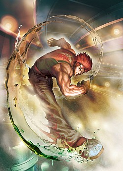 ꡼ No.003Υͥ / E3 2011ϡPS3ǤȤΰ㤤Ϥۤܲ٤ΤߡסץξPVitaǡSTREET FIGHTER X Ŵ