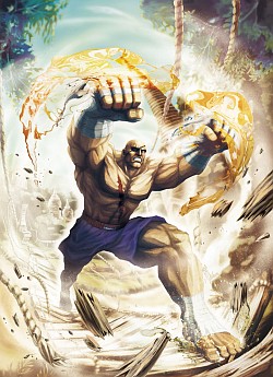 ꡼ No.005Υͥ / E3 2011ϡPS3ǤȤΰ㤤Ϥۤܲ٤ΤߡסץξPVitaǡSTREET FIGHTER X Ŵ