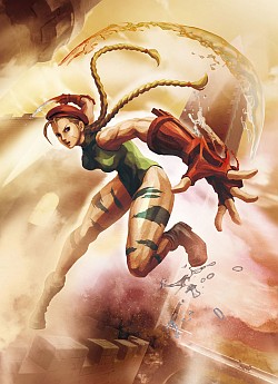 ꡼ No.007Υͥ / E3 2011ϡPS3ǤȤΰ㤤Ϥۤܲ٤ΤߡסץξPVitaǡSTREET FIGHTER X Ŵ