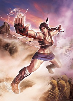 ꡼ No.009Υͥ / E3 2011ϡPS3ǤȤΰ㤤Ϥۤܲ٤ΤߡסץξPVitaǡSTREET FIGHTER X Ŵ