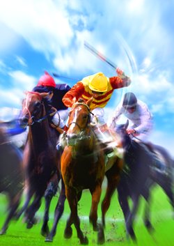 ꡼ No.005Υͥ / ƥ⥲ॹ֥åबȤChampion Jockey: Gallop RacerGI Jockeyפ9ȯ䡣ץ쥤ࡼӡǺ