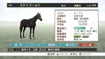 ꡼ No.009Υͥ / ƥ⥲ॹ֥åबȤChampion Jockey: Gallop RacerGI Jockeyפ9ȯ䡣ץ쥤ࡼӡǺ