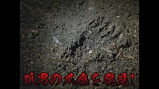 ꡼ No.003Υͥ / ֥ޥå㥶󥰡פκǿĥѥåȥ˥ȥ顼ɡμɤ꡼CM