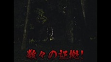꡼ No.005Υͥ / ֥ޥå㥶󥰡פκǿĥѥåȥ˥ȥ顼ɡμɤ꡼CM