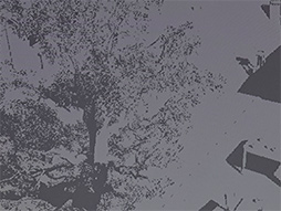 ꡼ No.027Υͥ / GDC 2024Arm侩쥤ȥ졼󥰻Υޡȥե󥲡॰եåȤϡ