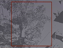 ꡼ No.028Υͥ / GDC 2024Arm侩쥤ȥ졼󥰻Υޡȥե󥲡॰եåȤϡ