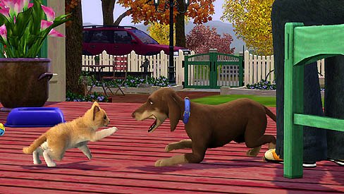 ꡼ No.010Υͥ / EA֥ॺ3 ڥåȡפ2011ǯ1020ȯ䡣ڥåȤǤϤʤڥåȤˤʤä餹ȤǤΤ