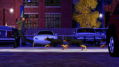 ꡼ No.011Υͥ / EA֥ॺ3 ڥåȡפ2011ǯ1020ȯ䡣ڥåȤǤϤʤڥåȤˤʤä餹ȤǤΤ