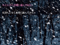 画像ギャラリー No.005のサムネイル画像 / 「かまいたちの夜 ミステリー編」,AndroidMarketで無料キャンペーンを開始