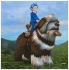 ���������꡼ No.004�Υ���ͥ������ / ����Ƴ�ر������ڥ�󥵡ס��İ��餷�����ʪ�ȥ���ѥ��ɤ䡤�Х����Τ褦�ʾ��ʪ�ȥ�����ɤʤɤ�Ҳ𤹤�ࡼ�ӡ�������