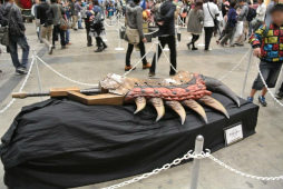 ���������꡼ No.110�Υ���ͥ������ / ��1��2000�ͤμ��ͤ����뤷���֥�󥹥����ϥ󥿡��ե�������13����������ݡ��ȡ��ּ���������סֿƻҥϥ󥿡�/���ҥϥ󥿡����ܰ������פ�����϶���ɽ�����