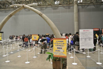 画像ギャラリー No.118のサムネイル画像 / 約1万2000人の狩人が集結した「モンスターハンターフェスタ’13」東京大会をレポート。「狩王決定戦」「親子ハンター/女子ハンター日本一決定戦」の東京地区代表も決定