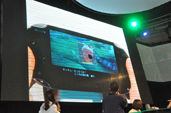꡼ No.076Υͥ / TGS 2011ϡȥΥ Rɤȡȥҡ ĥ֥쥤ɡ2Ĥο꡼餫Ȥʤä֥ƥ륺 ֡ץ꡼ץ쥹ȯɽͤݡ