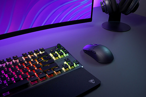 ꡼ No.001Υͥ / ROCCATΥޡʥ꡼Turtle Beach֥ɤȯ