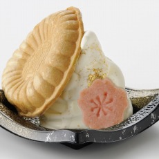 ꡼ No.024Υͥ / ֥ʥॳʥ󥸥㥿פǡ֥ɡ֥ȥᥤȡפΥ٥Ȥ1117˥