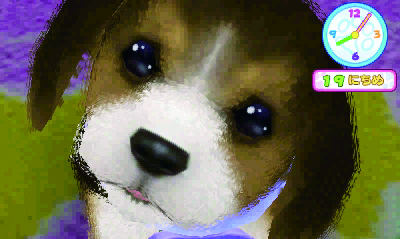 画像ギャラリー No.001のサムネイル画像 / 「かわいい仔犬3D」公式サイトが19日にオープン。登場犬種などが公開中