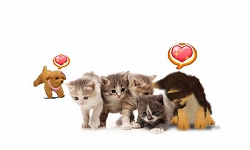 画像ギャラリー No.007のサムネイル画像 / 「かわいい仔犬3D」公式サイトが19日にオープン。登場犬種などが公開中