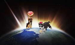 画像ギャラリー No.008のサムネイル画像 / 「かわいい仔犬3D」公式サイトが19日にオープン。登場犬種などが公開中