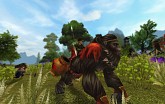 ꡼ No.017Υͥ / 󥲡बӥͽ3D MMORPGֶ˸ -AURORA-פȤϤɤʥफ