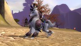 ꡼ No.023Υͥ / 󥲡बӥͽ3D MMORPGֶ˸ -AURORA-פȤϤɤʥफ