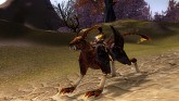 ꡼ No.026Υͥ / 󥲡बӥͽ3D MMORPGֶ˸ -AURORA-פȤϤɤʥफ