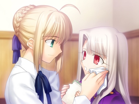 ꡼ No.006Υͥ / ޼衤˺Ʊ顣PCǡFate/stay night[Realta Nua]סС롼Ȥۿ