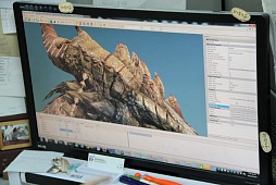 画像ギャラリー No.012のサムネイル画像 / 期待の新作MMORPG「Dragon's Prophet」の開発元,台湾Runewakerを訪問してきた