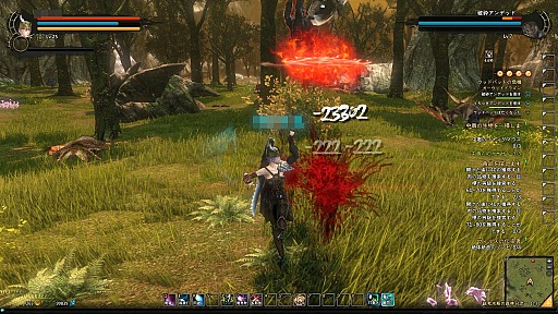 ���������꡼ No.012�Υ���ͥ������ / CBT�����Ϥ��줿��Dragon's Prophet�ץץ쥤��ݡ��ȡ��ɥ饴�����ͤ��Ȥ����������ե��󥿥���MMORPG