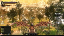 ���������꡼ No.036�Υ���ͥ������ / CBT�����Ϥ��줿��Dragon's Prophet�ץץ쥤��ݡ��ȡ��ɥ饴�����ͤ��Ȥ����������ե��󥿥���MMORPG