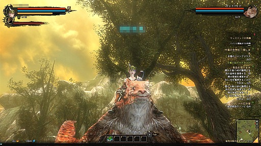 ���������꡼ No.037�Υ���ͥ������ / CBT�����Ϥ��줿��Dragon's Prophet�ץץ쥤��ݡ��ȡ��ɥ饴�����ͤ��Ȥ����������ե��󥿥���MMORPG