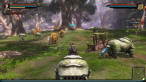 ���������꡼ No.043�Υ���ͥ������ / CBT�����Ϥ��줿��Dragon's Prophet�ץץ쥤��ݡ��ȡ��ɥ饴�����ͤ��Ȥ����������ե��󥿥���MMORPG