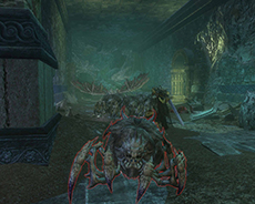 画像集#006のサムネイル/「Dragon's Prophet」が本日アップデートを実施。新マップ「バラン」が実装され,3種類の新ダンジョンが登場