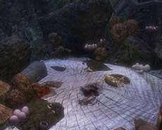 画像集#008のサムネイル/「Dragon's Prophet」が本日アップデートを実施。新マップ「バラン」が実装され,3種類の新ダンジョンが登場