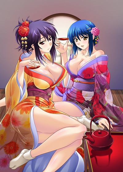 ���������꡼ No.007�Υ���ͥ������ / �֤Ĥ褭��3�ش�Portable�פ�Ź������ŵ�ѥ��饹�Ȥ������� 