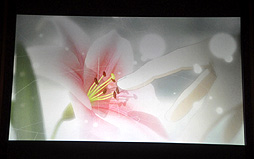 画像ギャラリー No.020のサムネイル画像 / アーシャ役の井上麻里奈さん,ニオ役の伊瀬茉莉也さんも登場した,「アーシャのアトリエ 〜黄昏の大地の錬金術士〜」完成発表会をレポート。すべてを再構築した新しいアトリエを見てほしい