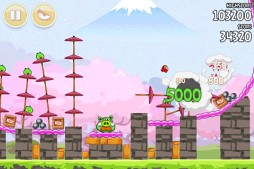 ꡼ No.001 | Angry Birds Seasons