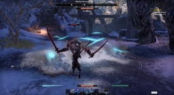 ���������꡼ No.021�Υ���ͥ������ / ��Skyrim�פ����椬�֥�����������������륺������饤��פ��о졣���ϤȤʤ�֥��쥤�ࡼ���ץ��åץǡ��Ȥ���ԥץ쥤