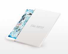 ���������꡼ No.006�Υ���ͥ������ / ��FINAL FANTASY�פ�����25��ǯ��ǰ���ʡ���FINAL FANTASY 25th ANNIVERSARY ULTIMATE BOX�פȡ�FINAL FANTASY 25th MEMORIAL ULTIMANIA Vol.1��3�פ�ȯ�䤬����