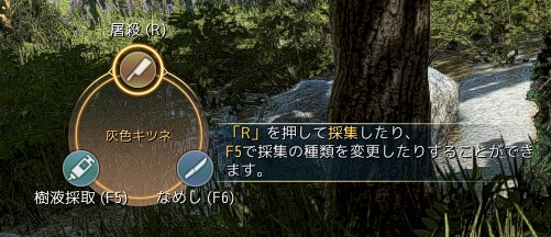 ꡼ No.023Υͥ / ֹפϡåץǡȡɤͷӤ䤹ʤ롣ޤǤβͷӤ䤹ʤäȤҲ𤷤褦