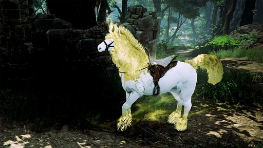 ꡼ No.025Υͥ / ӥϤ3000ޤMMORPGֹס夬򸫤ƤͳȤϡ
