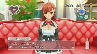 ���������꡼ No.008�Υ���ͥ������ / ���꡼���ǿ���֥ɥ꡼�९��� Gogo.�פ�PlayStation 3���������ȥ�Ȥ���2014ǯ�դ�ȯ�����