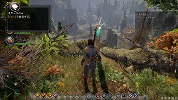 画像集#008のサムネイル/これぞ王道! BioWareが放つ「ドラゴンエイジ:インクイジション」は,冬の夜長にはもってこいの「満漢全席」なアクションRPGだ