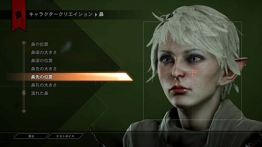 画像集#033のサムネイル/これぞ王道! BioWareが放つ「ドラゴンエイジ:インクイジション」は,冬の夜長にはもってこいの「満漢全席」なアクションRPGだ