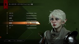 画像集#035のサムネイル/これぞ王道! BioWareが放つ「ドラゴンエイジ:インクイジション」は,冬の夜長にはもってこいの「満漢全席」なアクションRPGだ